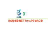 2.2.1 DNA分子的结构-2020-2021学年高一生物同步备课系列（新苏教版（2020）必修2）课件PPT
