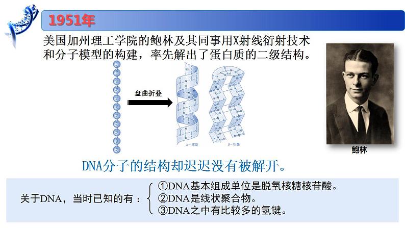 2.2.1 DNA分子的结构-2020-2021学年高一生物同步备课系列（新苏教版（2020）必修2）课件PPT04