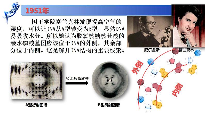 2.2.1 DNA分子的结构-2020-2021学年高一生物同步备课系列（新苏教版（2020）必修2）课件PPT05