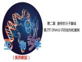 2.2.2 DNA分子的复制-2020-2021学年高一生物同步备课系列（新苏教版（2020）必修2）课件PPT