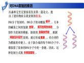 2.2.2 DNA分子的复制-2020-2021学年高一生物同步备课系列（新苏教版（2020）必修2）课件PPT