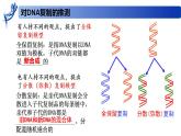 2.2.2 DNA分子的复制-2020-2021学年高一生物同步备课系列（新苏教版（2020）必修2）课件PPT