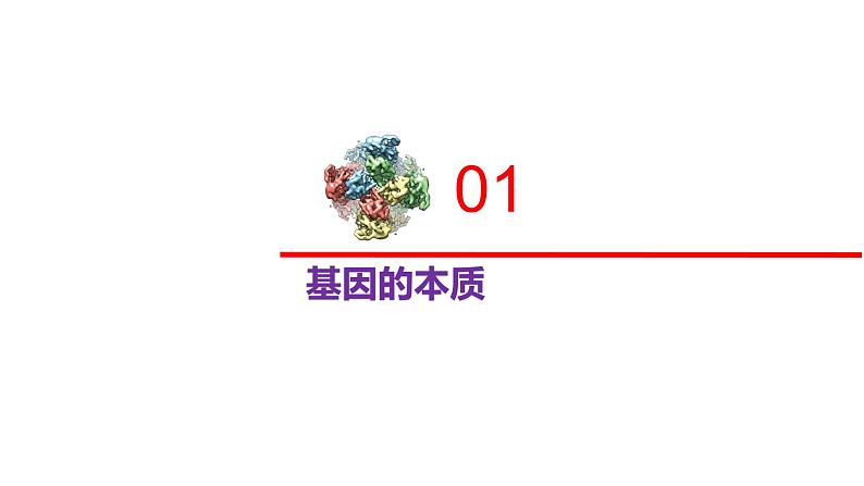 2.3.1 DNA分子通过RNA指导蛋白质的合成-2020-2021学年高一生物同步备课系列（新苏教版（2020）必修2）课件PPT02