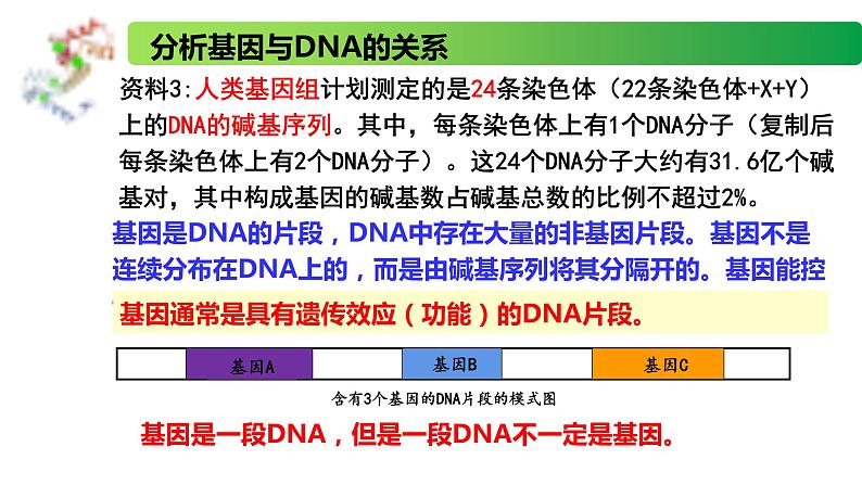 2.3.1 DNA分子通过RNA指导蛋白质的合成-2020-2021学年高一生物同步备课系列（新苏教版（2020）必修2）课件PPT07