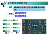 3.1 染色体变异及其应用-2020-2021学年高一生物同步备课系列（新苏教版（2020）必修2）课件PPT