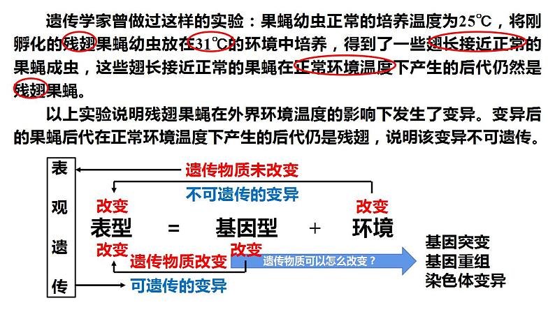 3.2 基因突变和基因重组-2020-2021学年高一生物同步备课系列（新苏教版（2020）必修2）课件PPT02