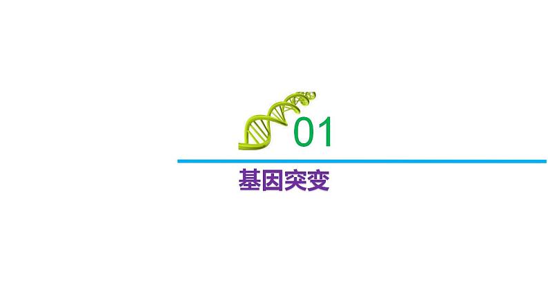 3.2 基因突变和基因重组-2020-2021学年高一生物同步备课系列（新苏教版（2020）必修2）课件PPT05