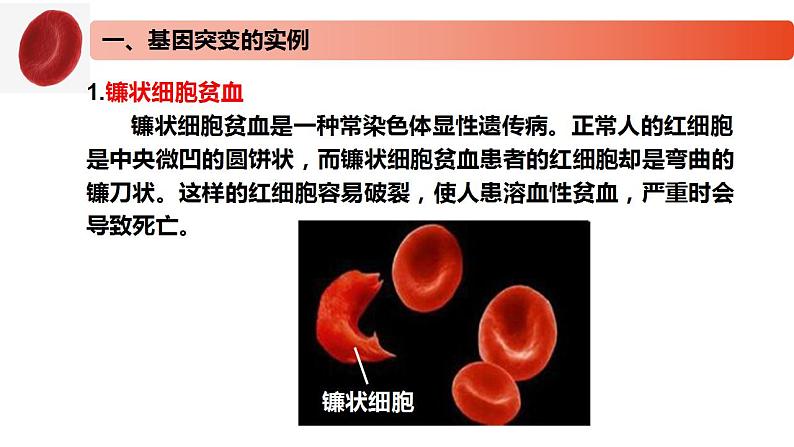 3.2 基因突变和基因重组-2020-2021学年高一生物同步备课系列（新苏教版（2020）必修2）课件PPT06