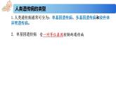 3.3 人类遗传病-2020-2021学年高一生物同步备课系列（新苏教版（2020）必修2）课件PPT