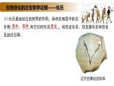 4.2 生物的多样性和适应性是进化的结果-2020-2021学年高一生物同步备课系列（新苏教版（2020）必修2）课件PPT