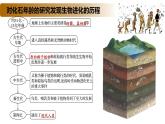 4.2 生物的多样性和适应性是进化的结果-2020-2021学年高一生物同步备课系列（新苏教版（2020）必修2）课件PPT