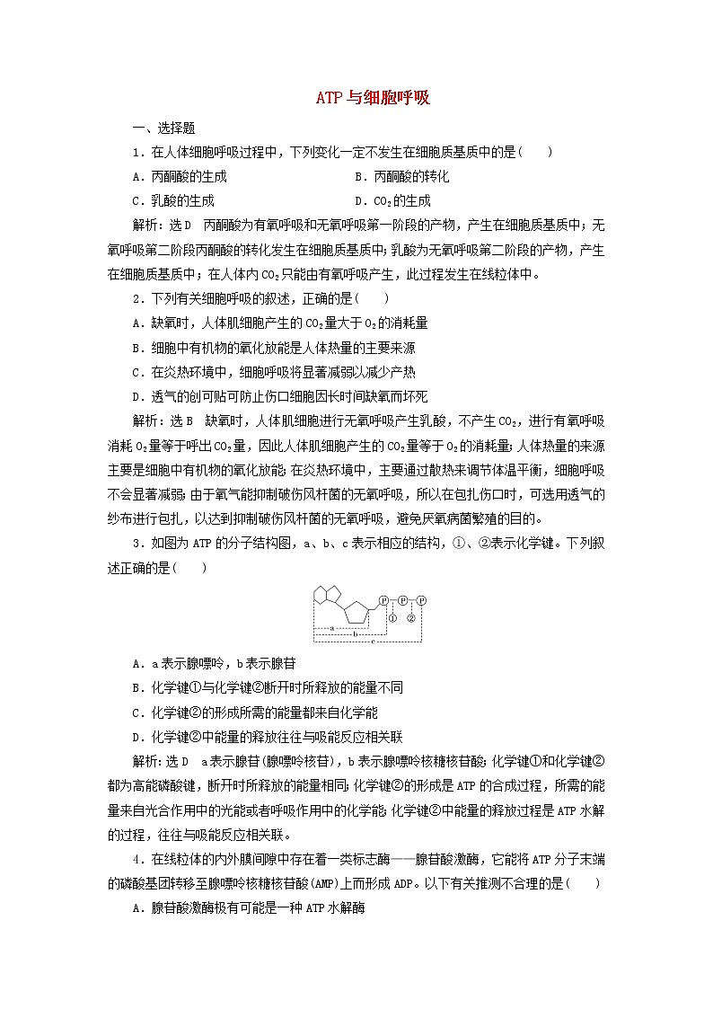 2022届高考生物总复习课时达标能力检测试卷九ATP与细胞呼吸含解析第1页