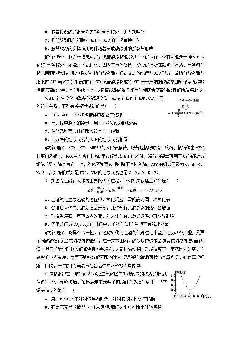 2022届高考生物总复习课时达标能力检测试卷九ATP与细胞呼吸含解析第2页