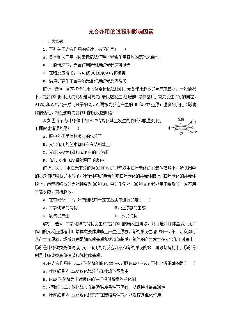 2022届高考生物总复习课时达标能力检测试卷十光合作用的过程和影响因素含解析第1页