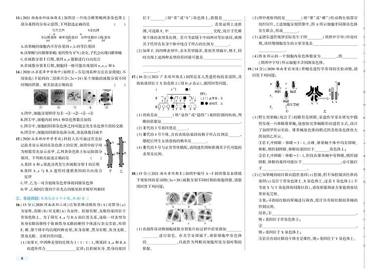 第2章 单元检测卷-2022版生物必修第二册人教版（2019）检测卷 （PDF版含解析）02