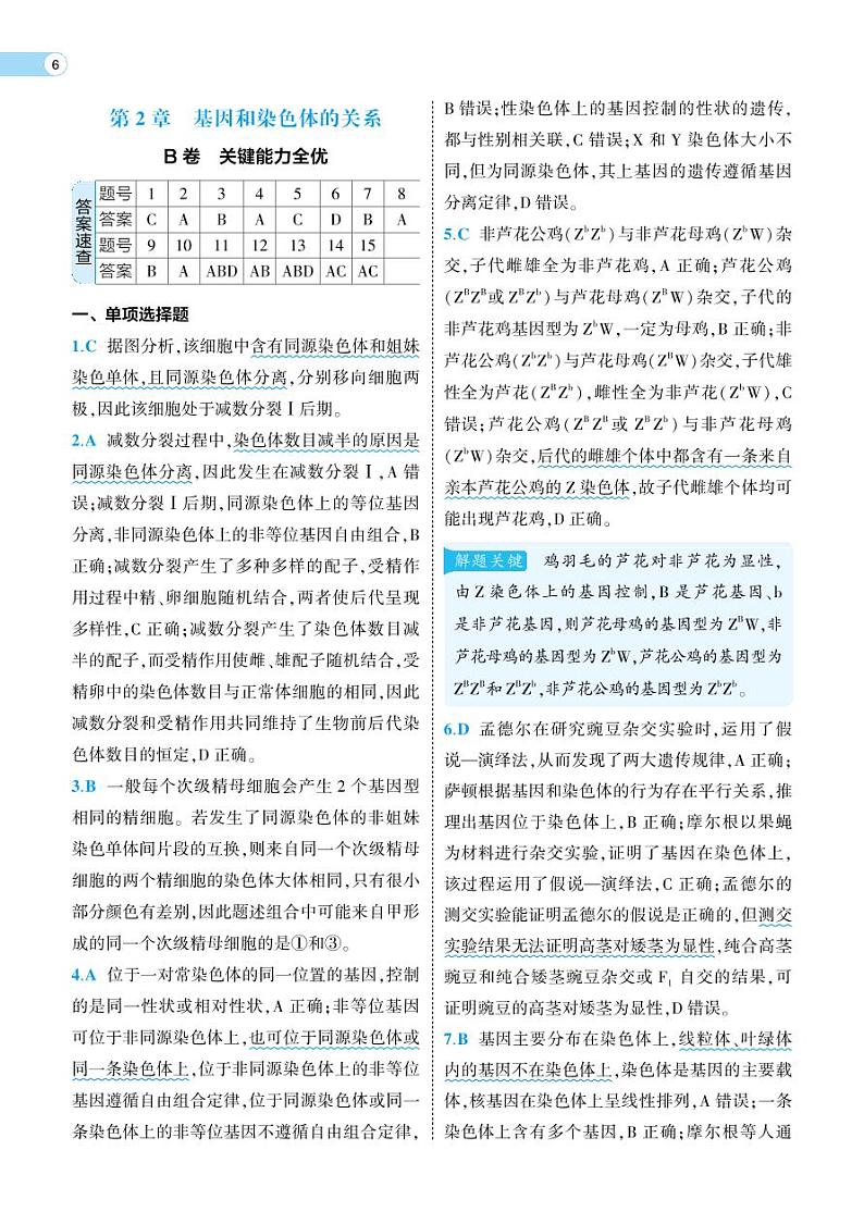 第2章 单元检测卷-2022版生物必修第二册人教版（2019）检测卷 （PDF版含解析）03