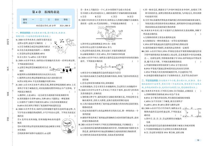 第4章 单元检测卷-2022版生物必修第二册人教版（2019）检测卷 （PDF版含解析）01