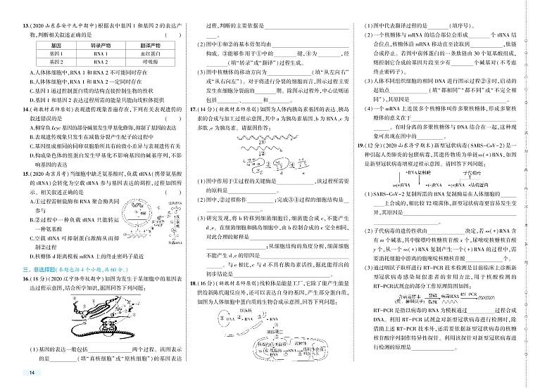 第4章 单元检测卷-2022版生物必修第二册人教版（2019）检测卷 （PDF版含解析）02