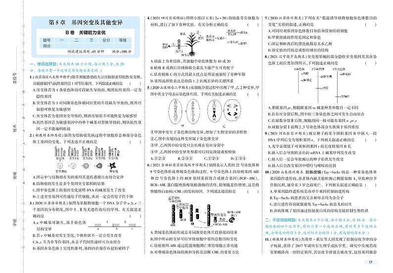 第5章 单元检测卷-2022版生物必修第二册人教版（2019）检测卷 （PDF版含解析）01