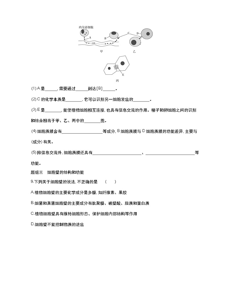 第一课时　细胞质膜将细胞与外界环境分开-2022版生物必修第一册 苏教版（2019） 同步练习 （Word含解析）第3页