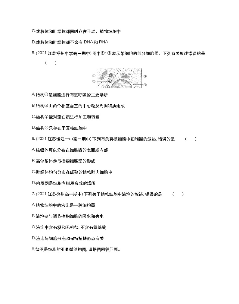 第二课时　结构与功能独特的细胞器-2022版生物必修第一册 苏教版（2019） 同步练习 （Word含解析）02