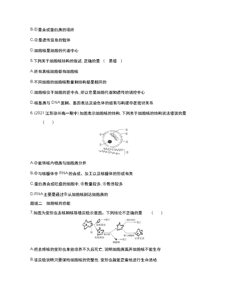 第三课时　遗传信息主要储存在细胞核中-2022版生物必修第一册 苏教版（2019） 同步练习 （Word含解析）02