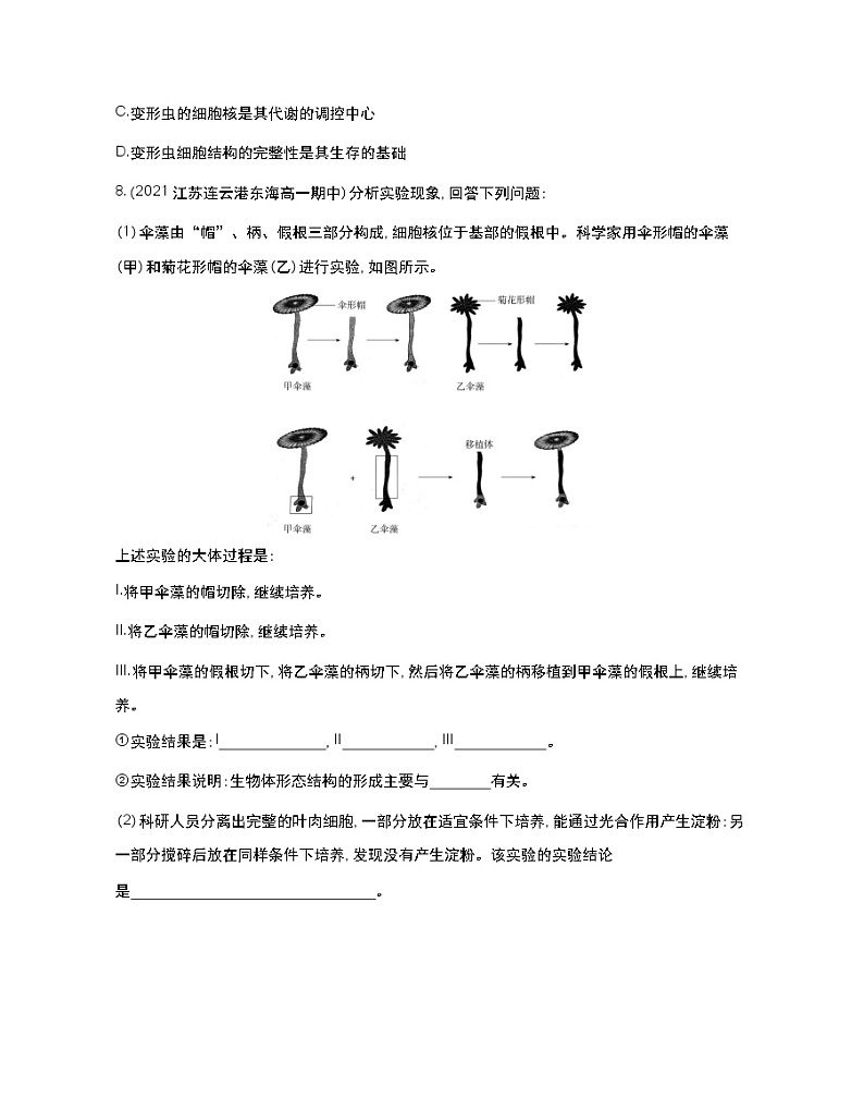 第三课时　遗传信息主要储存在细胞核中-2022版生物必修第一册 苏教版（2019） 同步练习 （Word含解析）03