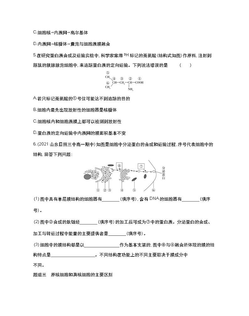 第四课时　细胞各部分结构分工合作、原核细胞和真核细胞的主要区别-2022版生物必修第一册 苏教版（2019） 同步练习 （Word含解析）02