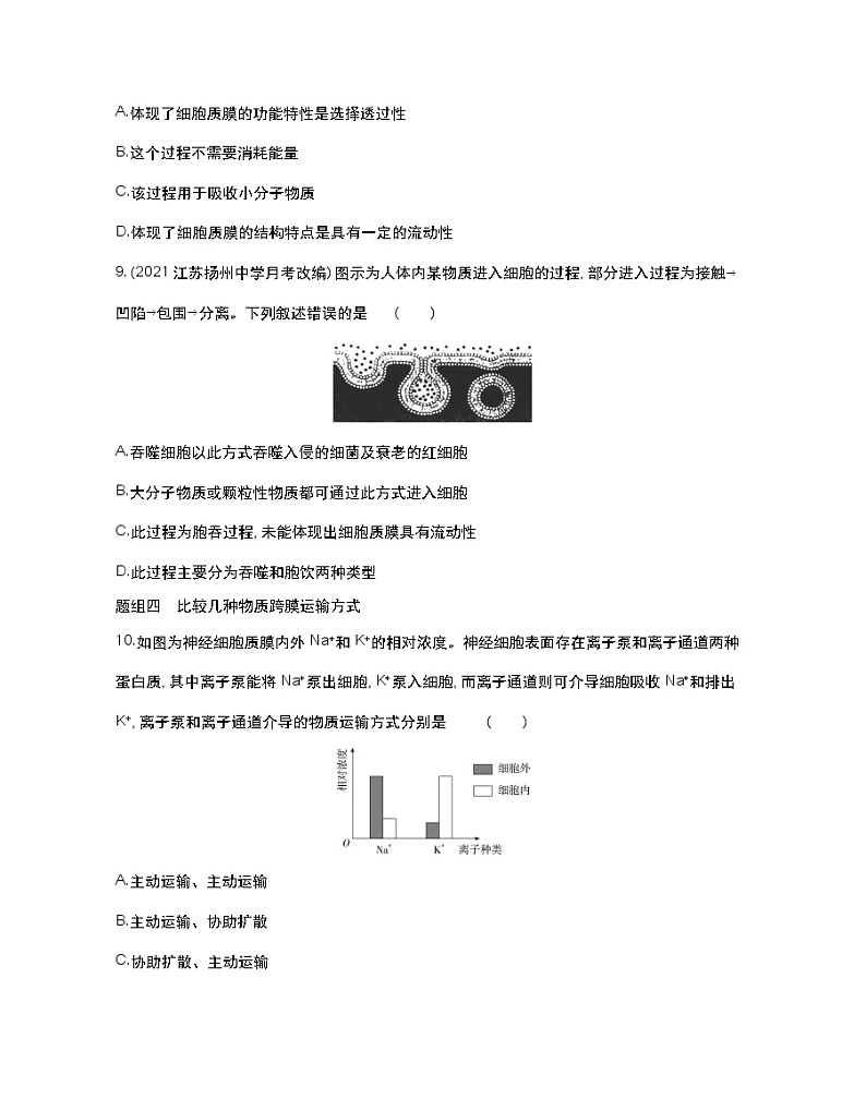 第二课时　物质进出细胞的方式-2022版生物必修第一册 苏教版（2019） 同步练习 （Word含解析）03