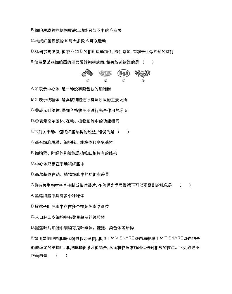 第二章达标检测-2022版生物必修第一册 苏教版（2019） 同步练习 （Word含解析）02