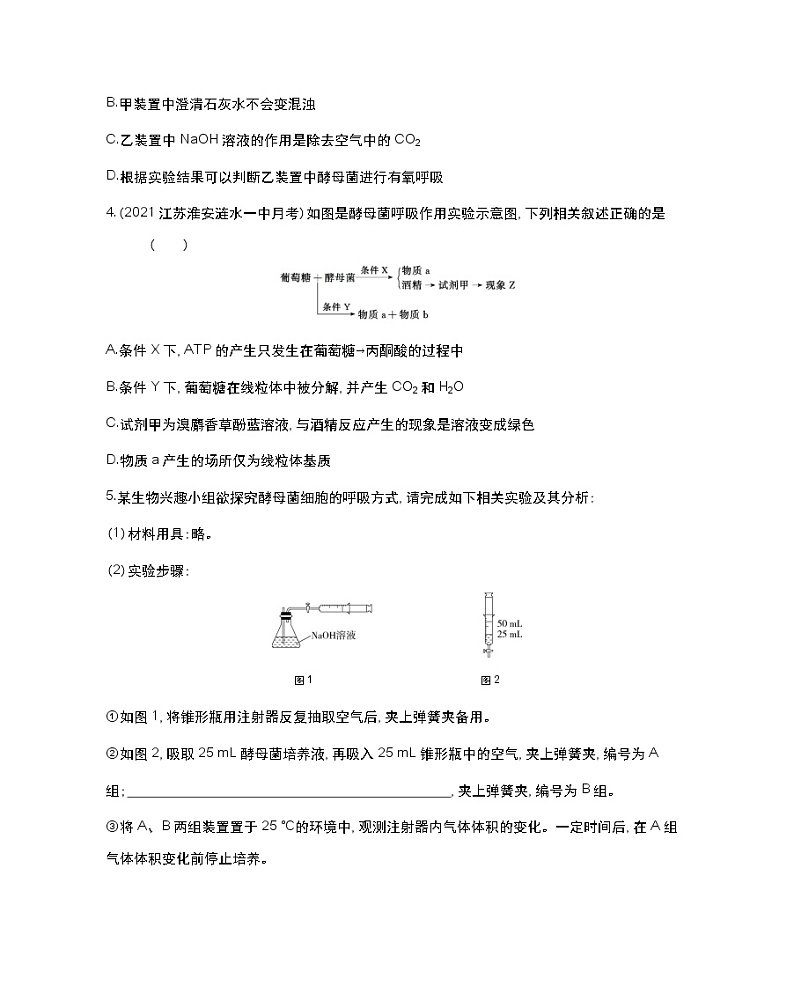 第二课时　探究酵母菌的呼吸方式、细胞呼吸产生能量的利用-2022版生物必修第一册 苏教版（2019） 同步练习 （Word含解析）02