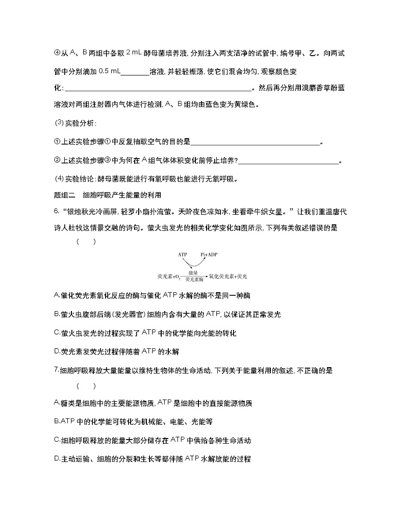 第二课时　探究酵母菌的呼吸方式、细胞呼吸产生能量的利用-2022版生物必修第一册 苏教版（2019） 同步练习 （Word含解析）03