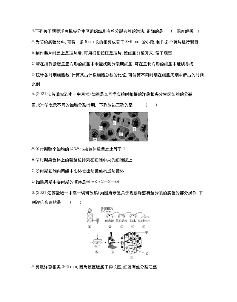 第二课时　观察植物根尖细胞有丝分裂、减数分裂和无丝分裂-2022版生物必修第一册 苏教版（2019） 同步练习 （Word含解析）02