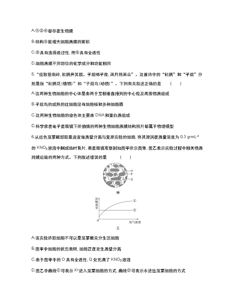 全书综合测评(一)-2022版生物必修第一册 苏教版（2019） 同步练习 （Word含解析）02