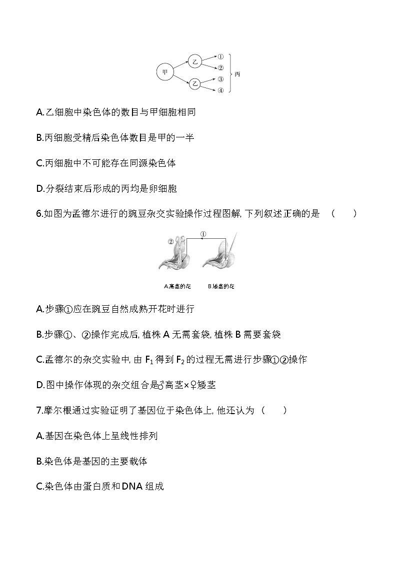 第一章达标检测-2022版生物必修第二册 苏教版（2019） 同步练习 （Word含解析）03