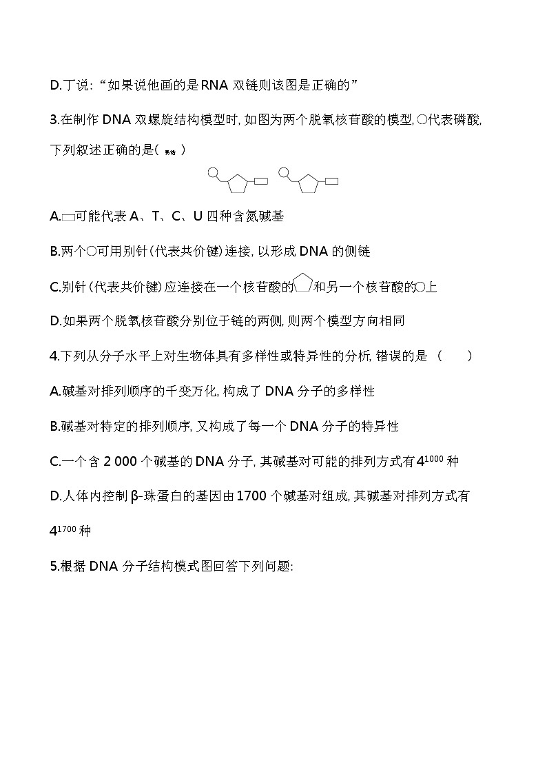 第1课时　DNA分子的结构-2022版生物必修第二册 苏教版（2019） 同步练习 （Word含解析）第2页