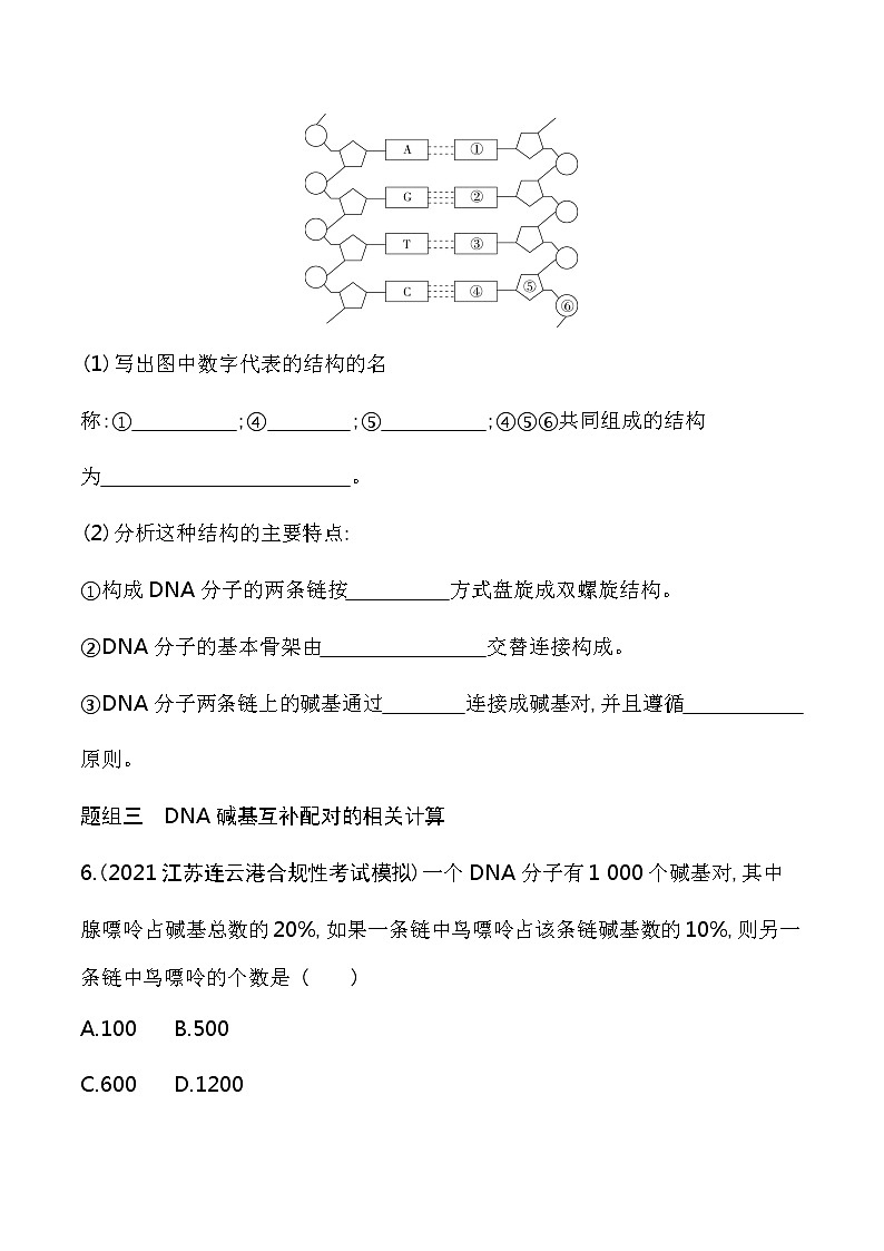 第1课时　DNA分子的结构-2022版生物必修第二册 苏教版（2019） 同步练习 （Word含解析）第3页