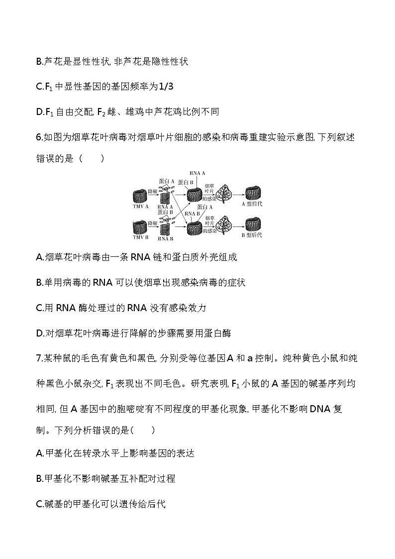 全书综合测评-2022版生物必修第二册 苏教版（2019） 同步练习 （Word含解析）03