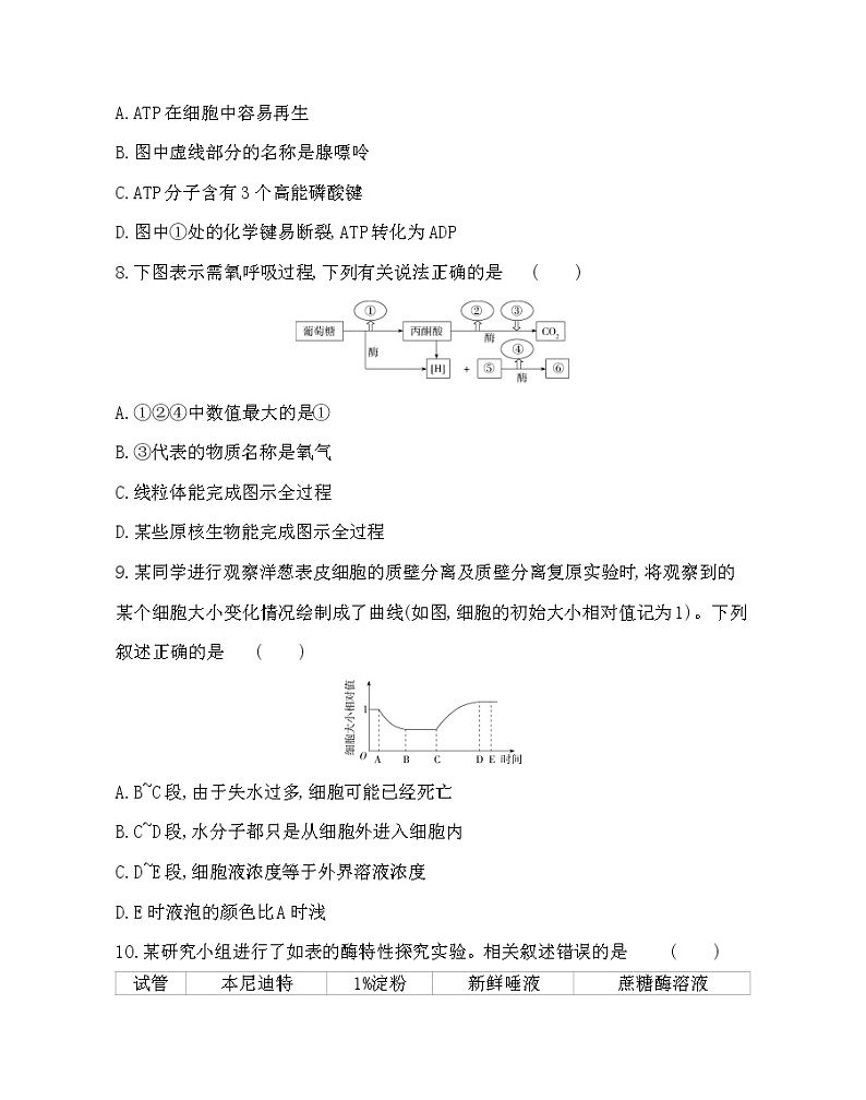 第三章达标检测-2022版生物必修第一册 浙科版（2019） 同步练习 （Word含解析）03