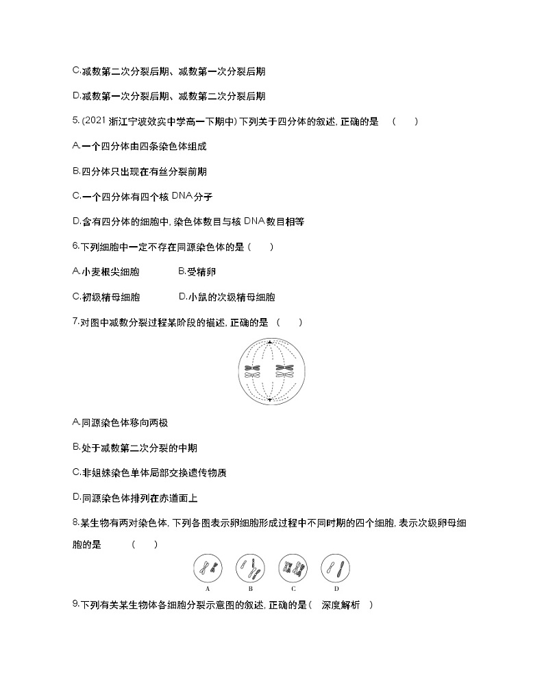 第1课时　减数分裂过程-2022版生物必修第二册 浙科版（2019） 同步练习 （Word含解析）02