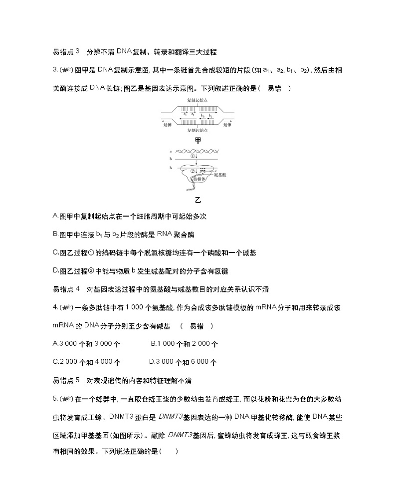 第三章复习提升-2022版生物必修第二册 浙科版（2019） 同步练习 （Word含解析）02