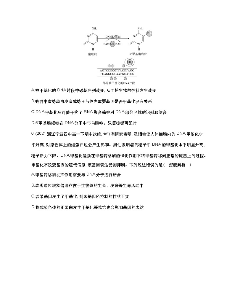 第三章复习提升-2022版生物必修第二册 浙科版（2019） 同步练习 （Word含解析）03