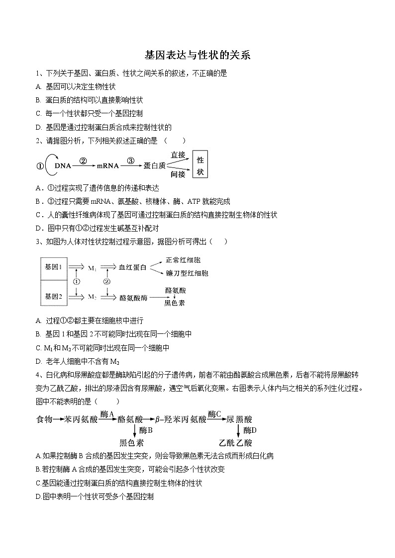 4.2 基因表达与性状的关系 作业 高中生物新人教版必修2（2022年） 练习01