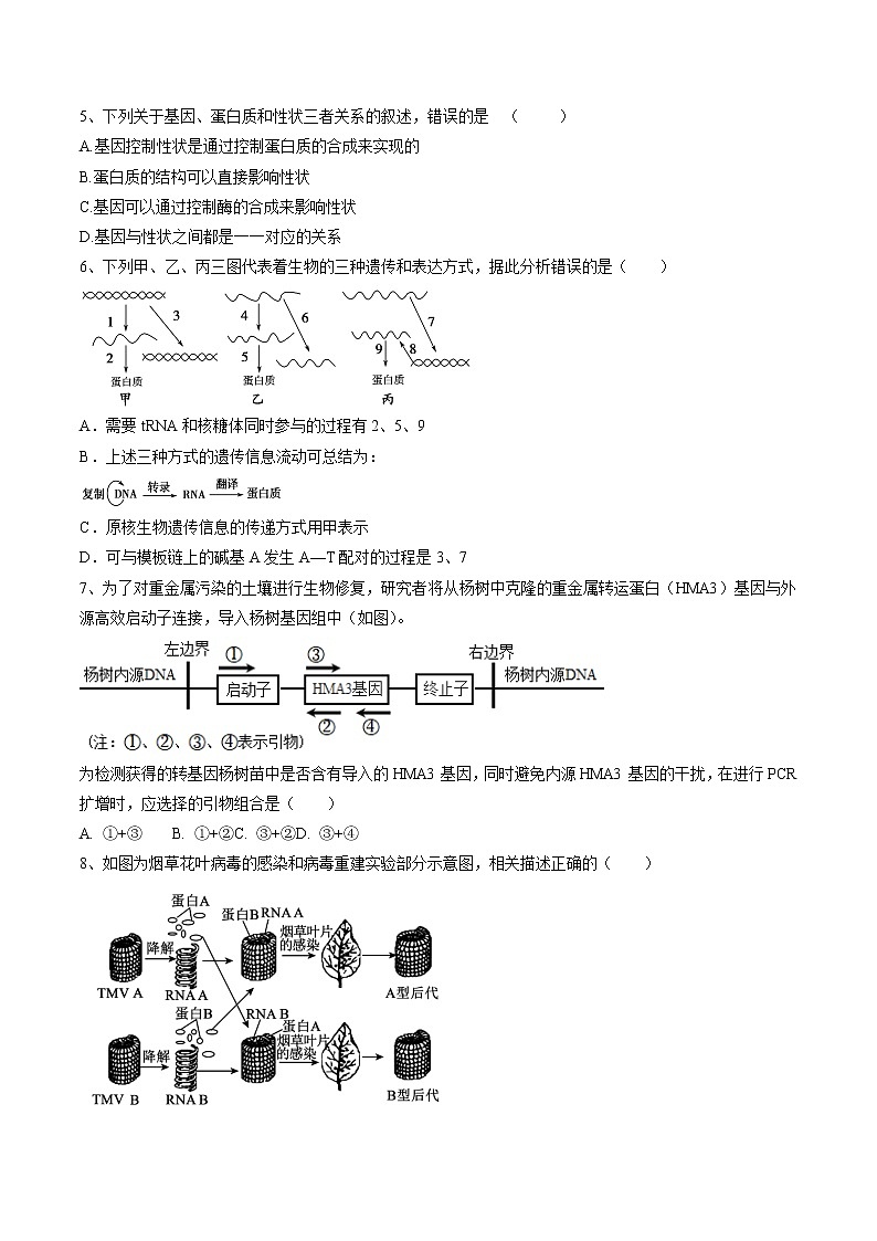 4.2 基因表达与性状的关系 作业 高中生物新人教版必修2（2022年） 练习02