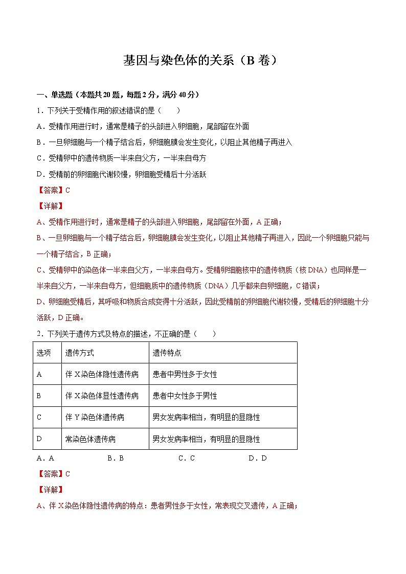 专题02 基因与染色体的关系（B卷）（解析版） 练习 高中生物新人教版必修2（2022年）01