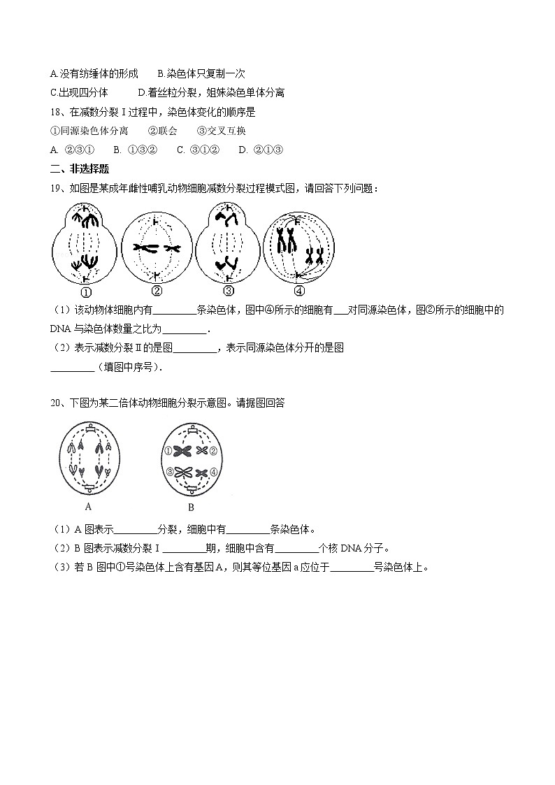 2.1 减数分裂和受精作用 第1课时 作业 高中生物新人教版必修2（2022年） 练习03