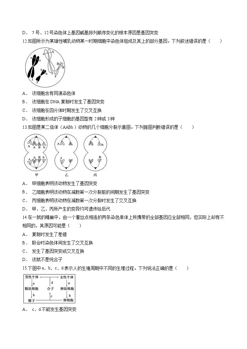 5.1 基因突变和基因重组  作业 高中生物新人教版必修2（2022年） 练习03