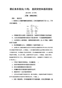 高中第1节 基因突变和基因重组同步达标检测题