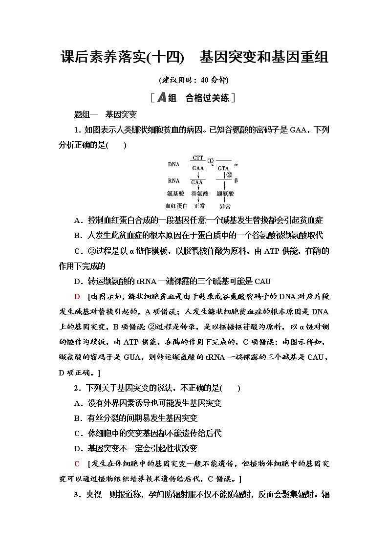2021-2022学年高中生物新人教版必修第二册 5.1 基因突变和基因重组 作业 练习01