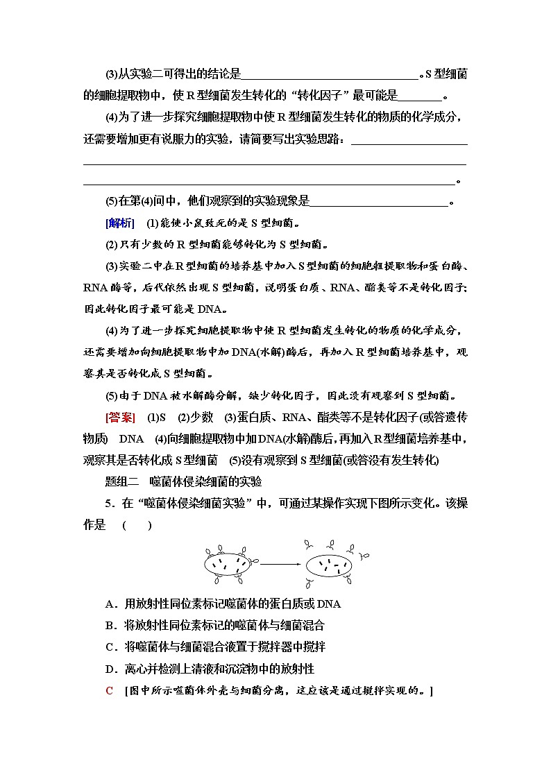 2021-2022学年高中生物新人教版必修第二册 3.1 DNA是主要的遗传物质 作业第3页
